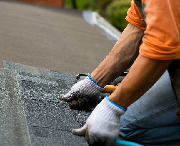 Best Gutter Installation and Roofing  in Monticello, FL